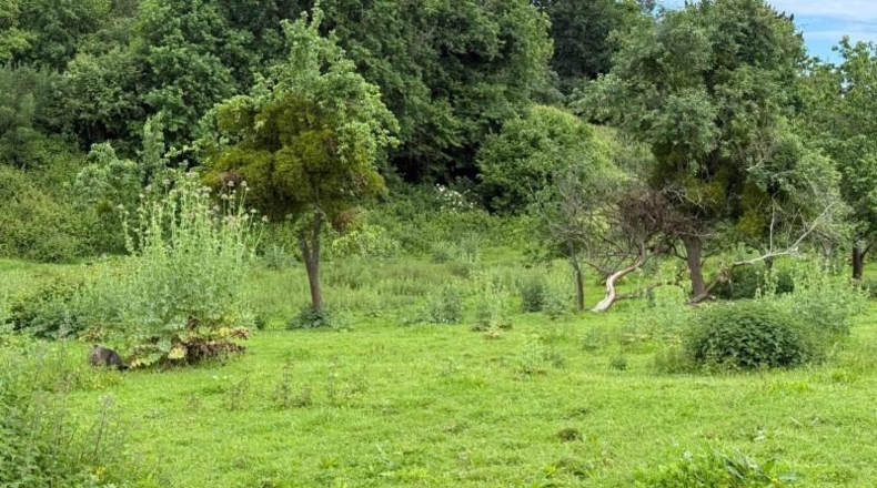 Cantabria - Reocín - 4498m2