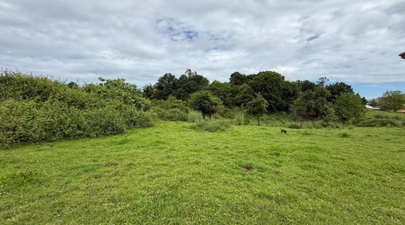 Cantabria - Reocín - 4498m2