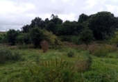 Urban land for sale on España, Reocín, ref: TR408036 photo