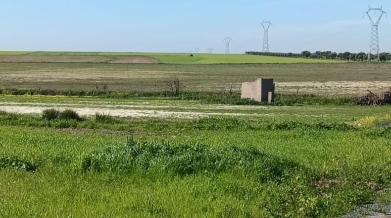 Huelva - San Juan del Puerto - 36000m2