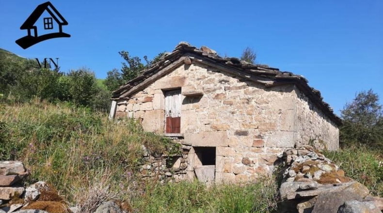 Cantabria - Vega de Pas - 13341m2