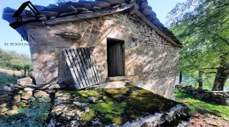 Cantabria - Vega de Pas - 13341m2
