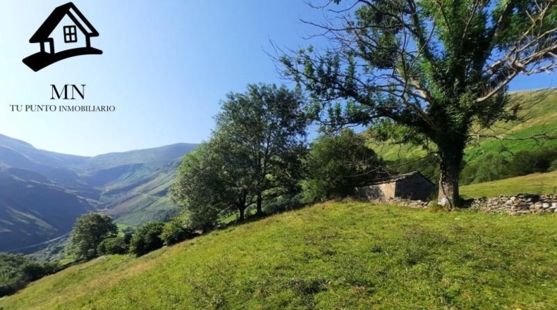 Cantabria - Vega de Pas - 13341m2