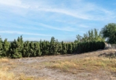 Parcela urbanizable en venta en la España, Alhendín, ref: TR248276 foto