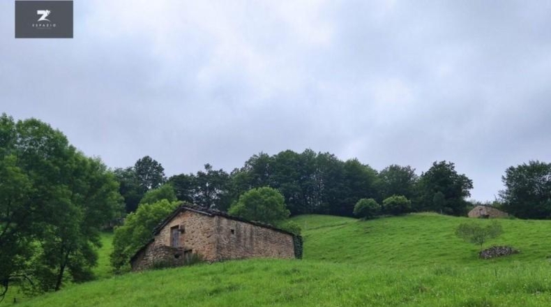 Cantàbria - Vega de Pas - 30000m2