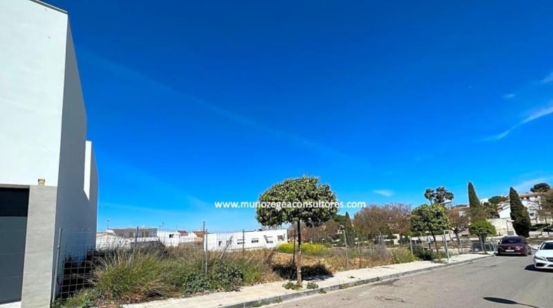 Córdoba - Lucena - 125m2