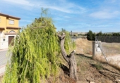 Suelo urbano en venta en la España, Alhendín, ref: TR237819 foto
