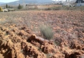 Suelo urbano en venta en la España, Ponferrada, ref: TR121989 foto