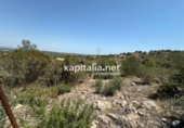 Casa con terreno en venta en la España, Alberic, ref: TR353066 foto