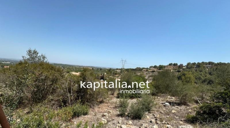Valencia - Alberique - 1791m2