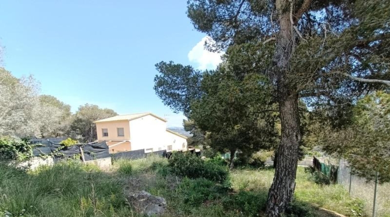 Barcelona - Canyelles - 531m2