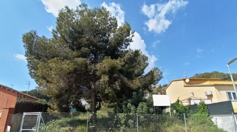 Barcelona - Canyelles - 531m2