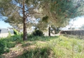 Suelo urbano en venta en la España, Canyelles, ref: TR396895 foto