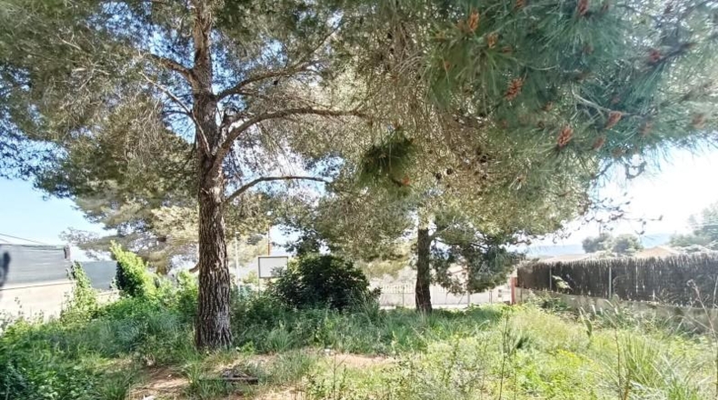 Barcelona - Canyelles - 531m2
