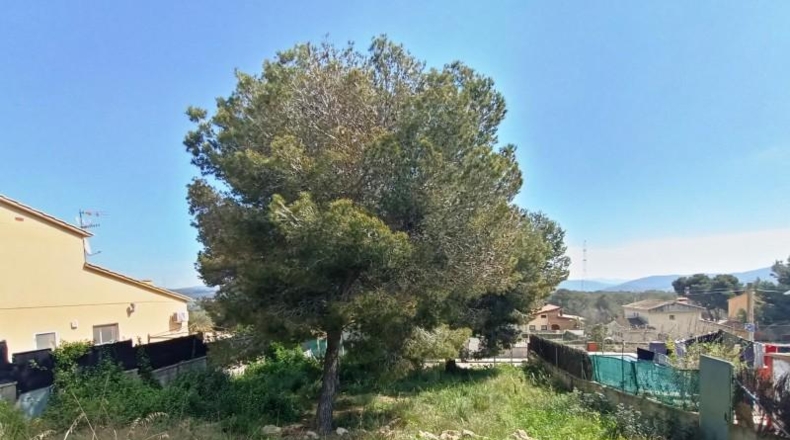 Barcelona - Canyelles - 531m2
