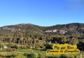 Suelo urbano en venta en la España, Canyelles, ref: TR396895 foto