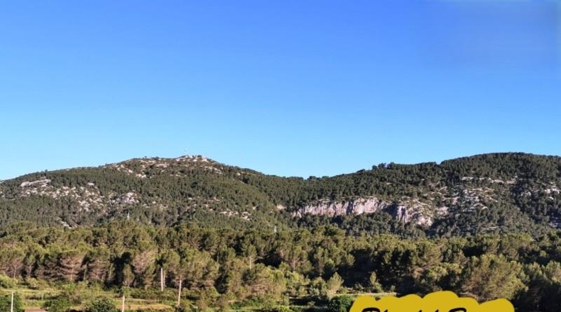 Barcelona - Canyelles - 531m2