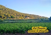 Suelo urbano en venta en la España, Canyelles, ref: TR396895 foto