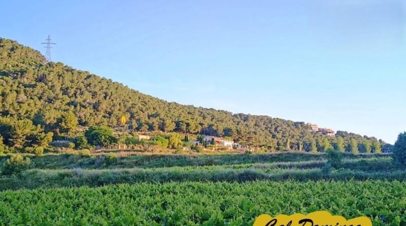 Barcelona - Canyelles - 531m2