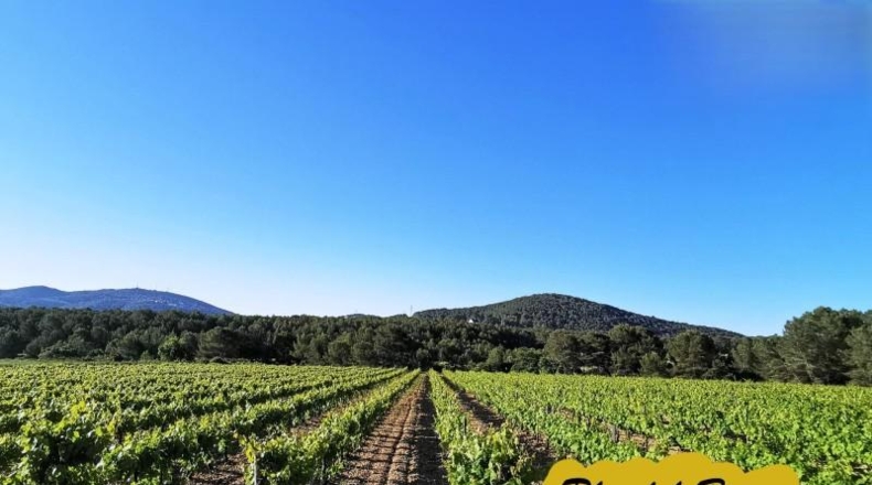 Barcelona - Canyelles - 531m2