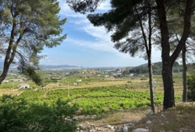 Foto 10
