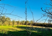 Country house with land for sale on España, Tudela, ref: TR224661 photo