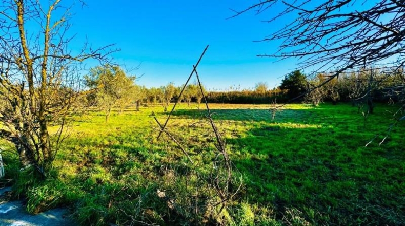 Navarra - Tudela - 2800m2