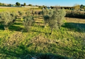 Country house with land for sale on España, Tudela, ref: TR224661 photo