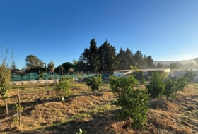 Foto 6