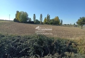 Abades 1668&nbsp;m²