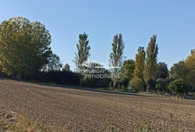 Abades 1668&nbsp;m²