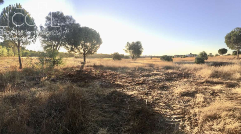 Huelva - Almonte - 30000m2