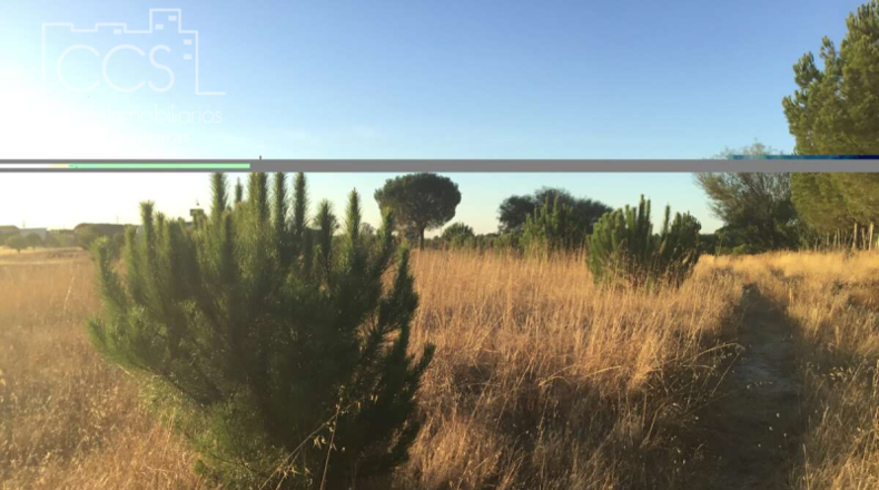 Huelva - Almonte - 30000m2