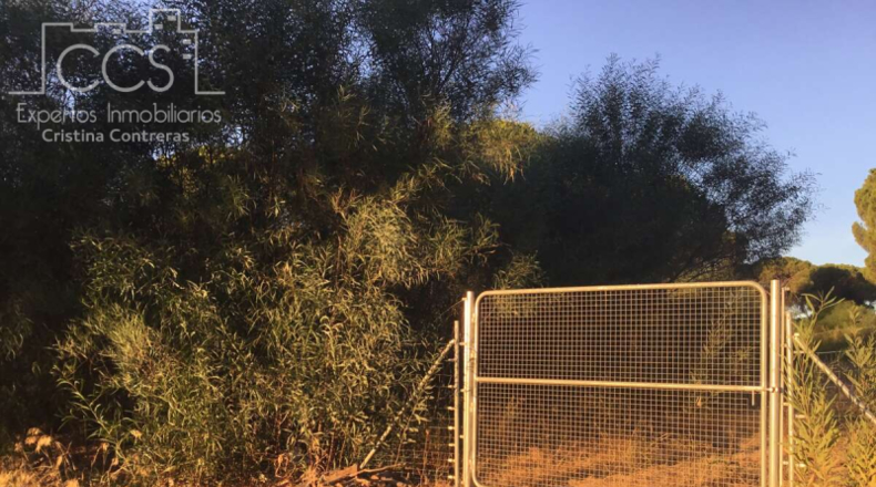 Huelva - Almonte - 30000m2