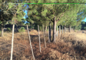 Terreno no urbanizable en venta en la España, Almonte, ref: TR341074 foto