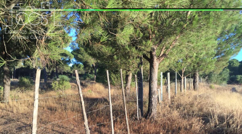 Huelva - Almonte - 30000m2