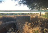 Terreno no urbanizable en venta en la España, Almonte, ref: TR341074 foto