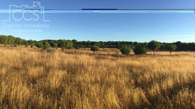 Huelva - Almonte - 30000m2