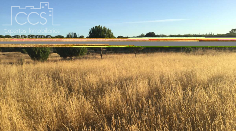Huelva - Almonte - 30000m2