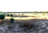 Terreno no urbanizable en venta en la España, Almonte, ref: TR341074 foto