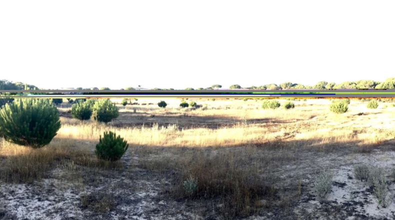 Huelva - Almonte - 30000m2
