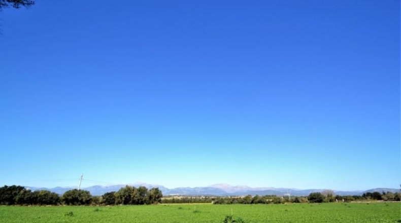 Balearic Islands - Muro - 11955m2