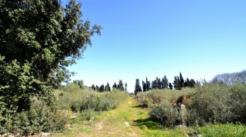 Balearic Islands - Muro - 11955m2