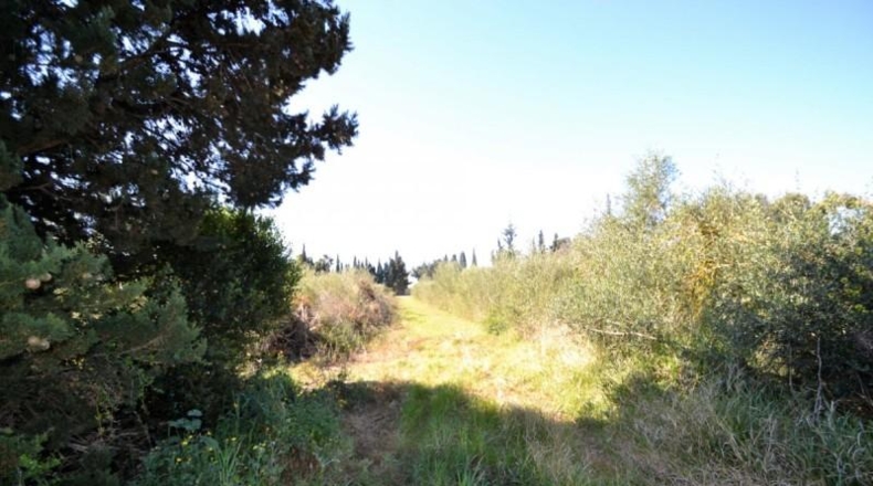 Balearic Islands - Muro - 11955m2