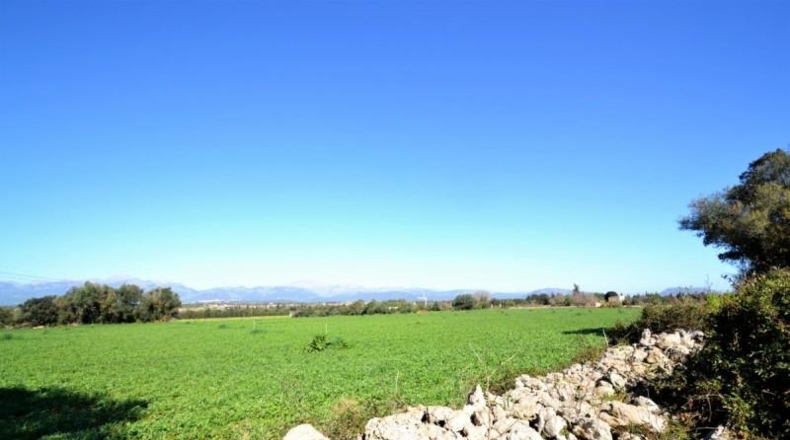 Balearic Islands - Muro - 11955m2