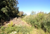 Terreno no urbanizable en venta en la España, Muro, ref: TR120143 foto