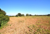 Terreno no urbanizable en venta en la España, Muro, ref: TR120143 foto