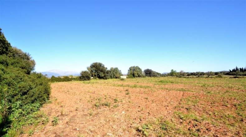 Balearic Islands - Muro - 11955m2
