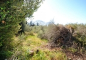 Terreno no urbanizable en venta en la España, Muro, ref: TR120143 foto