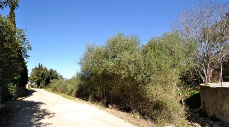 Balearic Islands - Muro - 11955m2